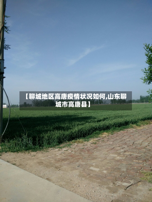 【聊城地区高唐疫情状况如何,山东聊城市高唐县】-第2张图片