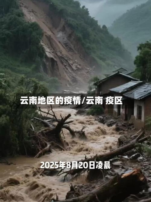 云南地区的疫情/云南 疫区-第3张图片