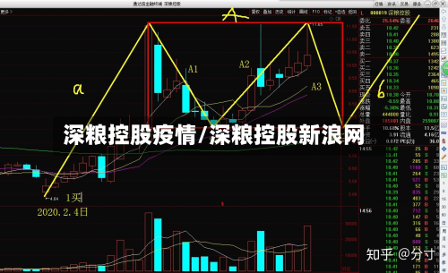 深粮控股疫情/深粮控股新浪网