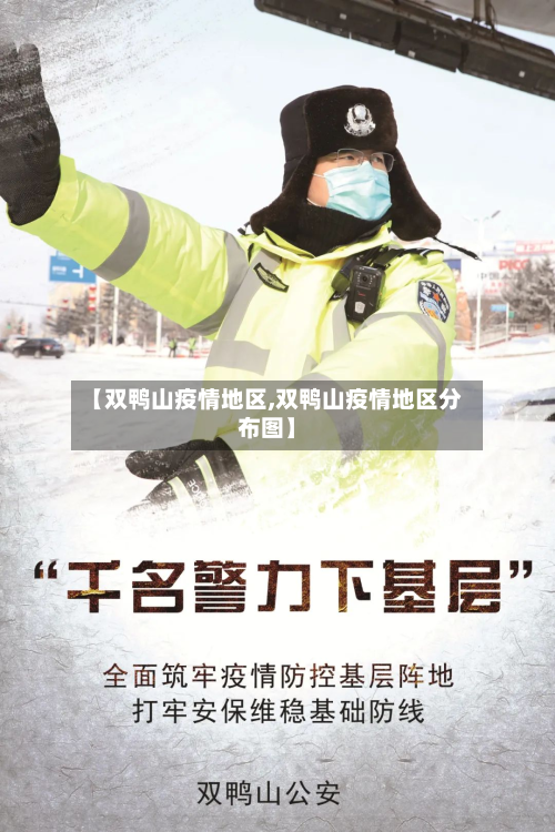 【双鸭山疫情地区,双鸭山疫情地区分布图】-第3张图片