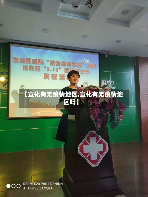 【宣化有无疫情地区,宣化有无疫情地区吗】-第2张图片