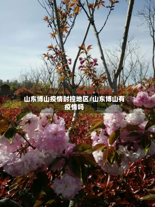 山东博山疫情封控地区/山东博山有疫情吗