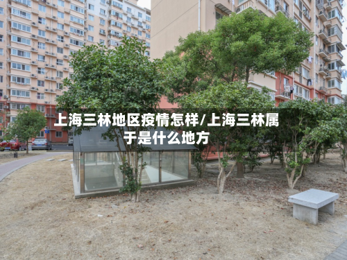 上海三林地区疫情怎样/上海三林属于是什么地方-第3张图片