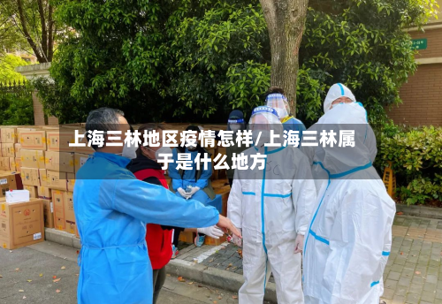 上海三林地区疫情怎样/上海三林属于是什么地方
