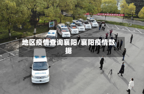 地区疫情查询襄阳/襄阳疫情数据