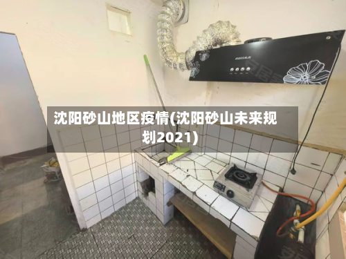 沈阳砂山地区疫情(沈阳砂山未来规划2021)