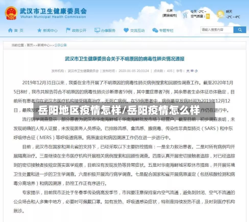 岳阳地区疫情怎样/岳阳疫情怎么样-第3张图片