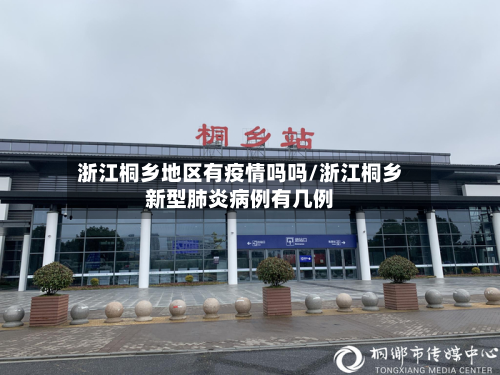 浙江桐乡地区有疫情吗吗/浙江桐乡新型肺炎病例有几例