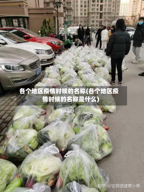 各个地区疫情时候的名称(各个地区疫情时候的名称是什么)